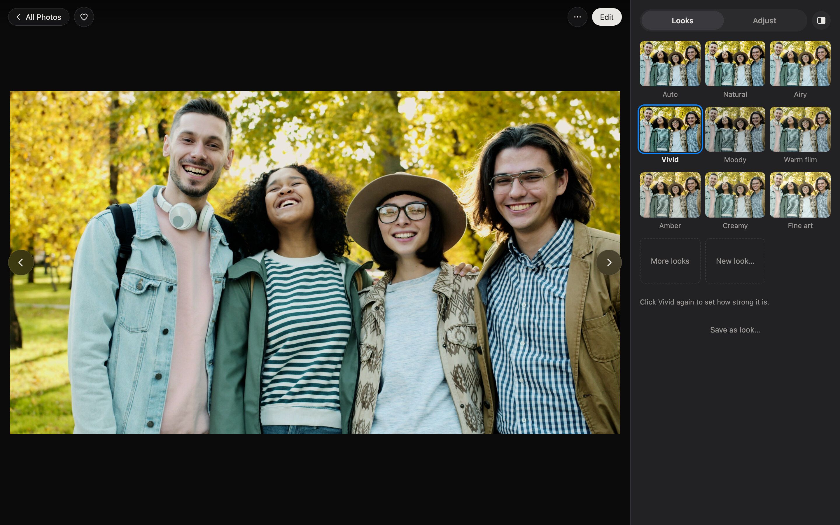Edit panel: Looks on one photo