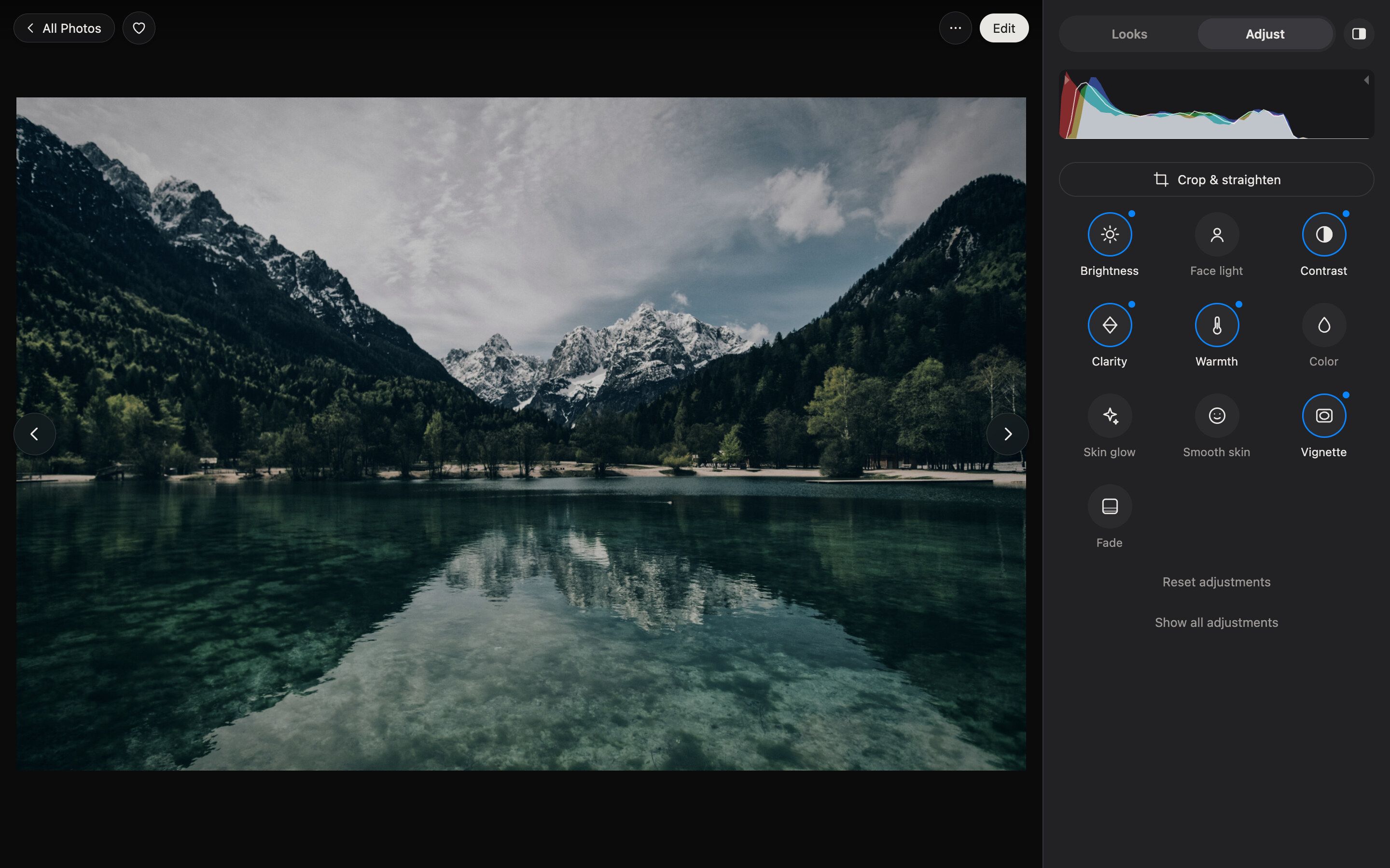 Adjust panel with histogram and controls