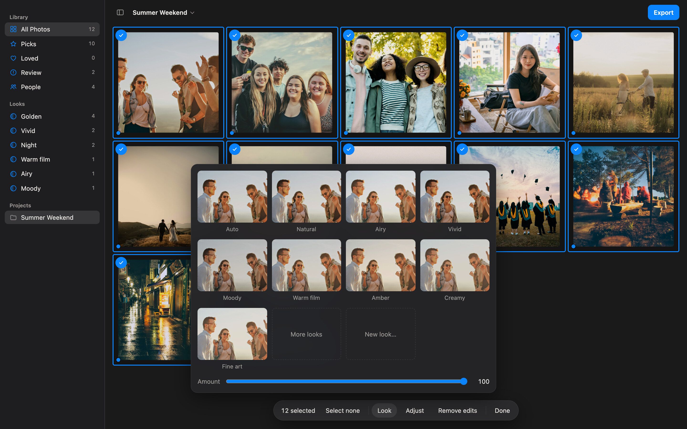 Twelve photos selected with the Look picker open